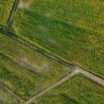 Drone shot of lush green fields with intersecting roads in rural Thailand.